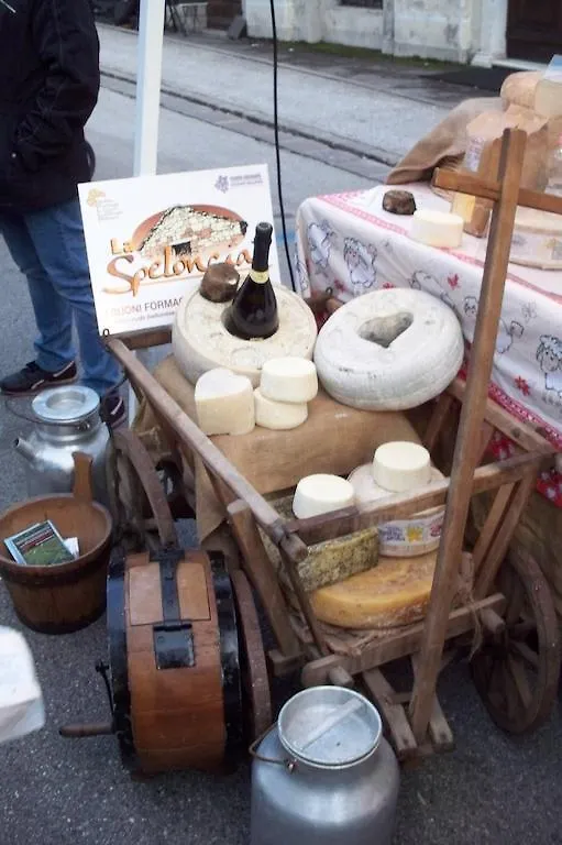 Appartamento Casa Ester Feltre